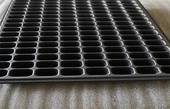 Large Plastic Germination Trays 105 Cells Greenhouse Thermoforming