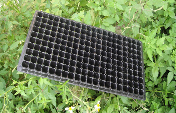 Seed Grow Plastic Germination Trays Garden Vegetable Hydroponic Trays