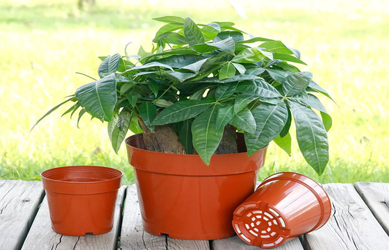 Plastic PP Desktop Horticultural Plant Pots Succulents Nursery Home Garden Plant