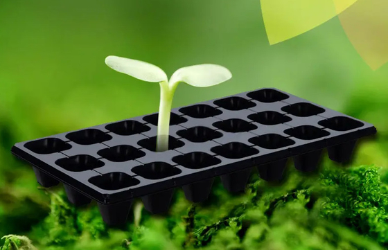 Black Vegetable Plant Seed Plastic Propagation Starter Seedling Trays 21 Cells