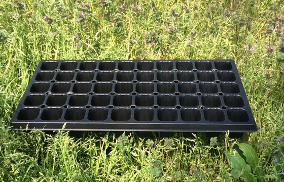 50 To 200 Cells PS Plastic Seed Starting Cell Trays For Nursery Rice Seed
