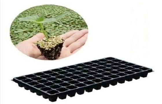 Tomato Grow Plant 200 Cell Seed Trays Rectangle Nursery Trays
