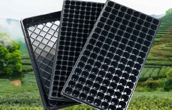 Black Rectangular Plastic Germination Trays Seed Nursery Trays 200 Cells