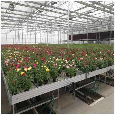 Plastic Bench Hydroponic Grow Bed Greenhouse Rolling Growing Table