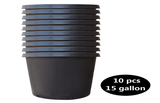PP Resin Horticultural Plant Pots Monthly Rose Seeds Pot Cylindrical