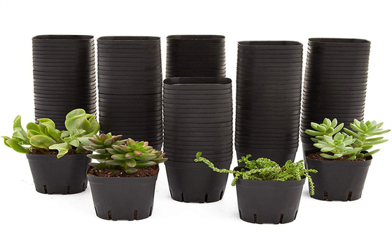 Small Drain Holes Horticultural Plant Pots Modern Bonsai Plastic Dumpy Plants