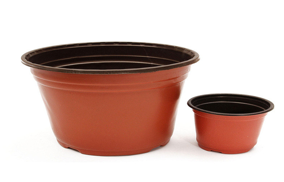 Flower Square Plastic Plant Pots