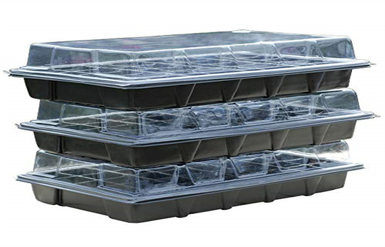 Germination Cells Seed Plastic Germination Trays With Drain Holes