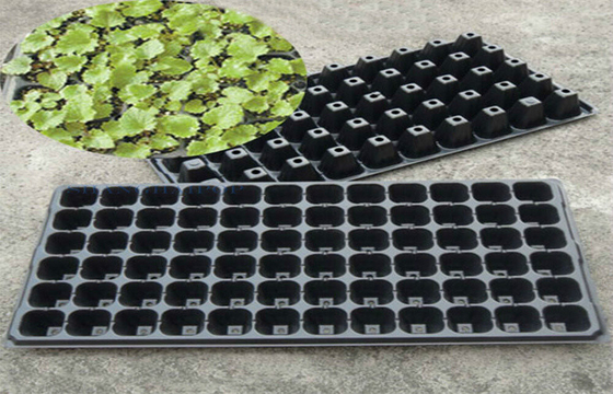 21 To 225 Cells Plastic Seed Starting Trays Plant Growing Rice Tray