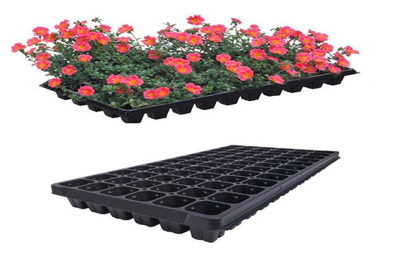 Germination Flower Farm Garden Seed Planter Tray 72 Cells