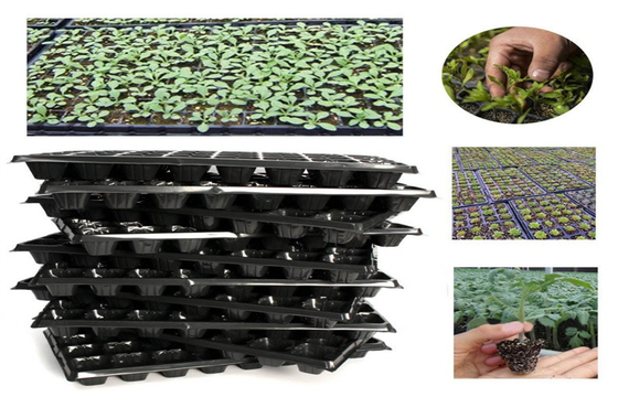 Seed Sprouting Plastic Germination Trays 144 Cell Nursery Plant