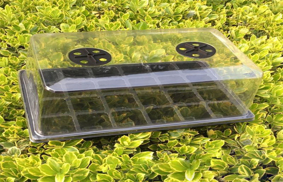 Plastic Seed Germination Trays With Dome Black Vegetable Plant Horticulture Seed