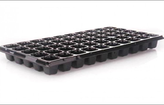 60 Cells Seed Planter Tray