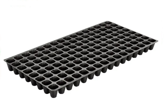 Plant Growing Cells Plastic Germination Trays With Drain Holes