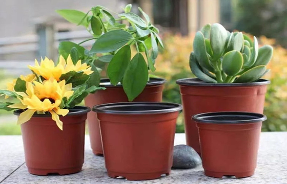 Nursery Plastic Horticultural Plant Pots Thermal Formed For Flower Seedling