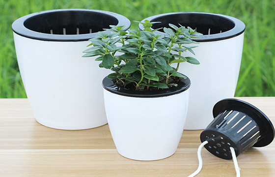 PP Thickened Not Brittle Round Flower Pots Wear Resistance