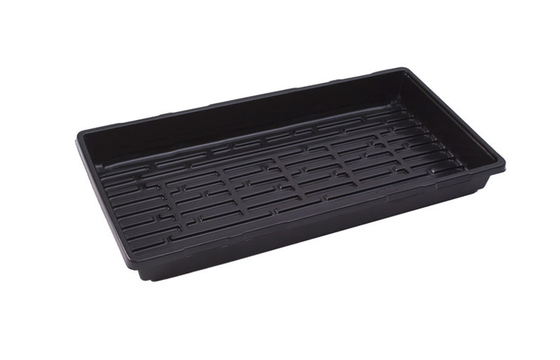 Plug Seed Grow Plastic Germination Trays Garden Vegetable Hydroponic
